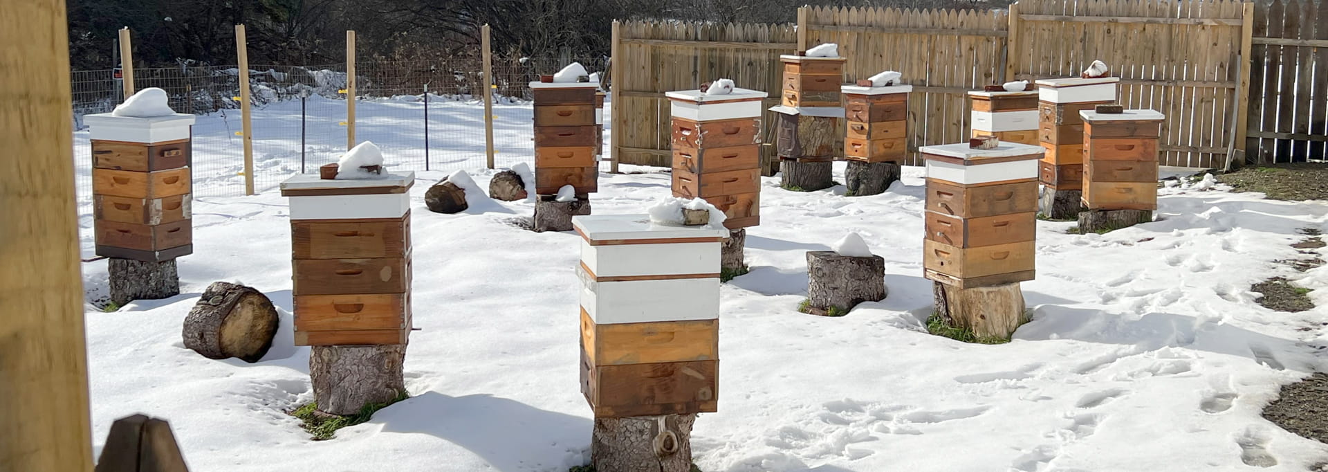 https://eriebeekeeping.com/sites/default/files/revslider/image/erieBeeKeeping-02.jpg
