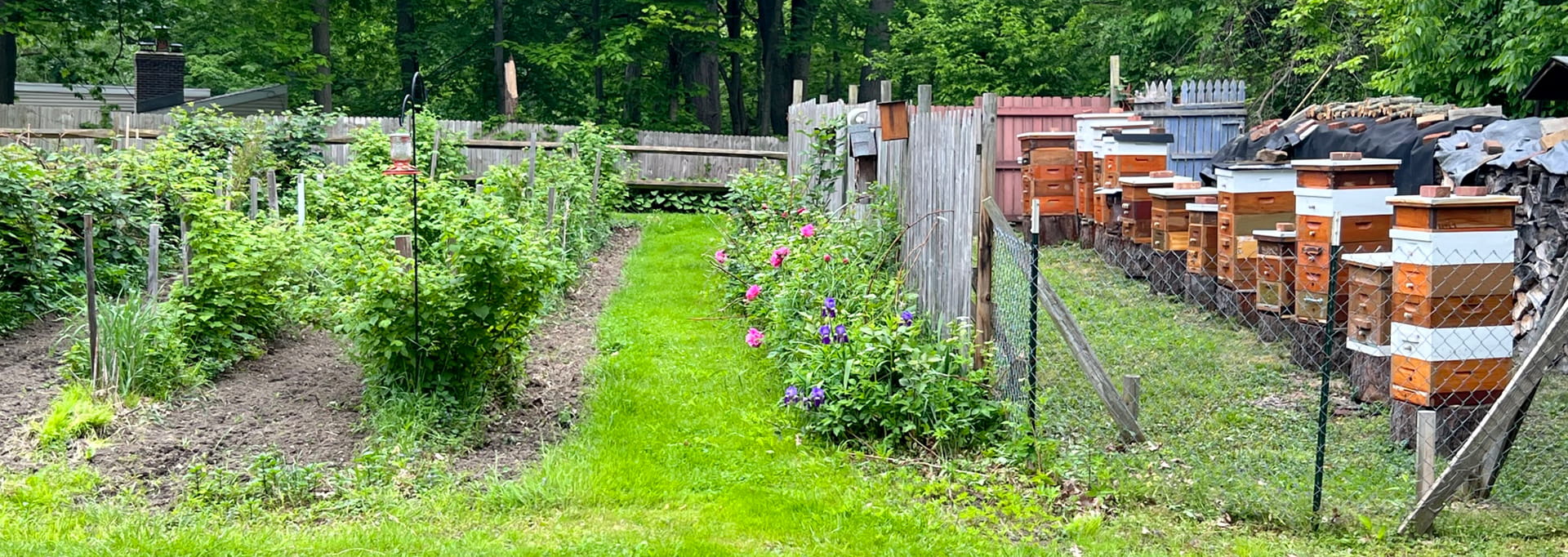 https://eriebeekeeping.com/sites/default/files/revslider/image/erieBeeKeeping-03.jpg