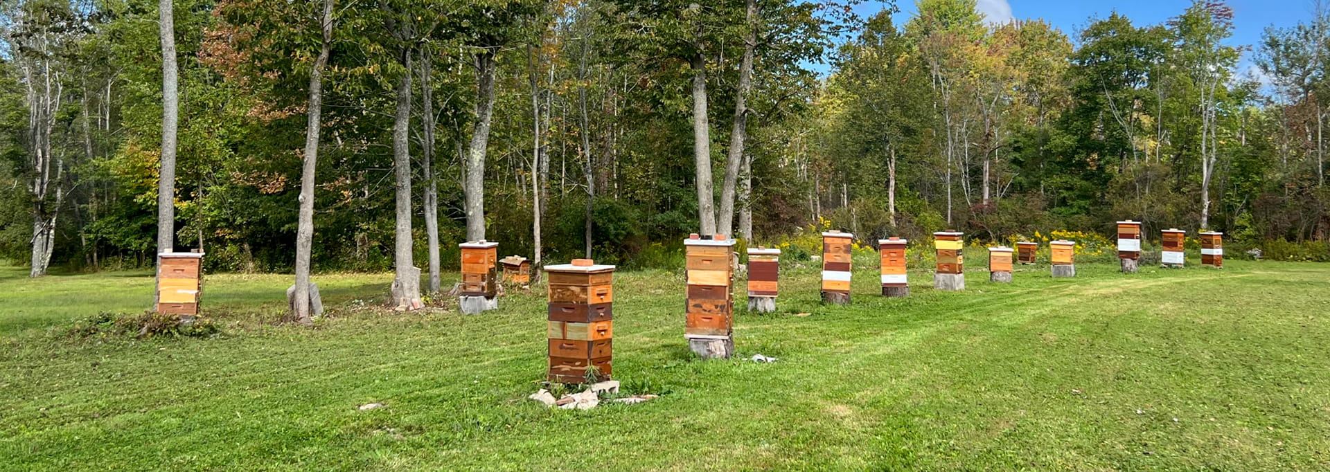 https://eriebeekeeping.com/sites/default/files/revslider/image/erieBeeKeeping-05.jpg