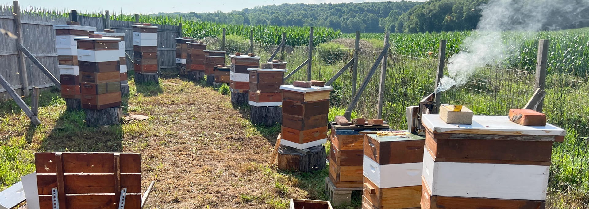 https://eriebeekeeping.com/sites/default/files/revslider/image/erieBeeKeeping-08.jpg