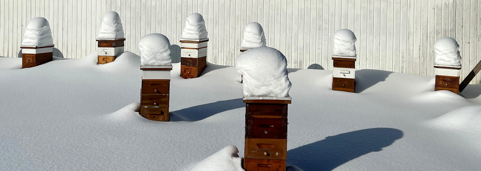 https://eriebeekeeping.com/sites/default/files/revslider/image/erieBeeKeeping-13.jpg